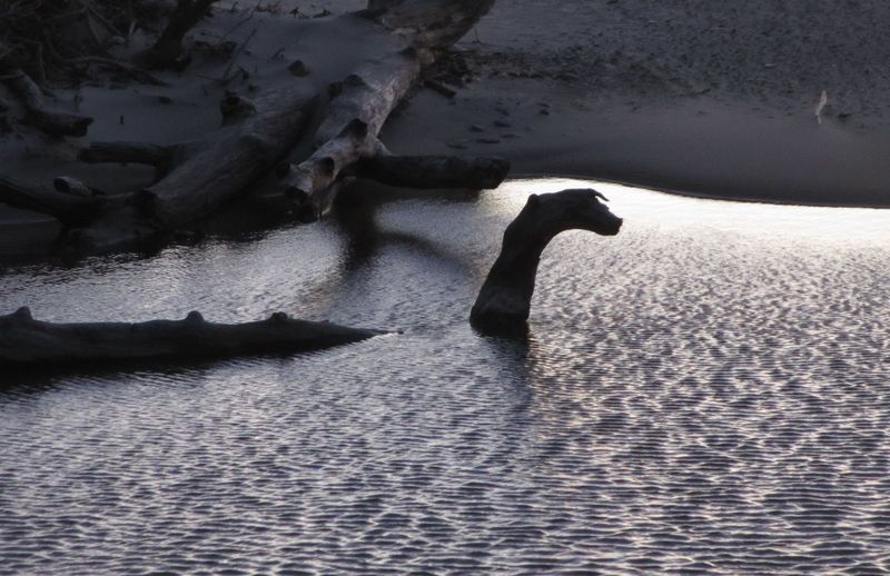 Bessie of Lake Erie