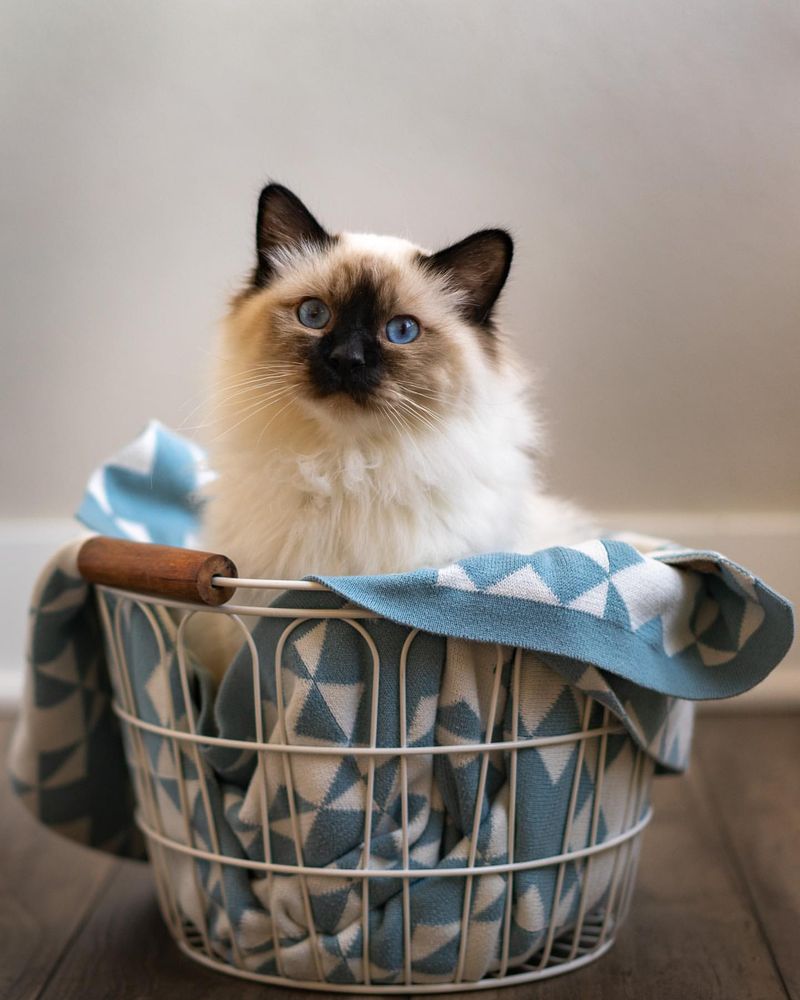 Birman