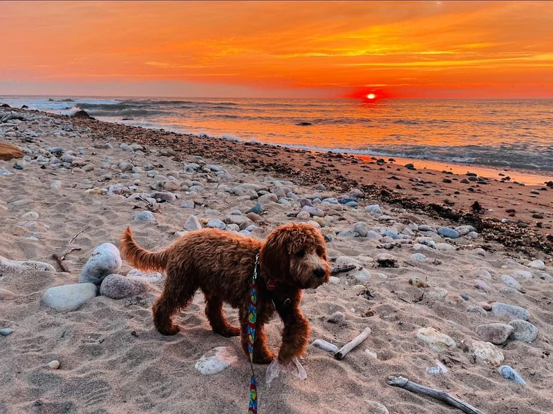 Block Island Beaches (Rhode Island)