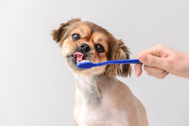 Brushing Teeth Incorrectly