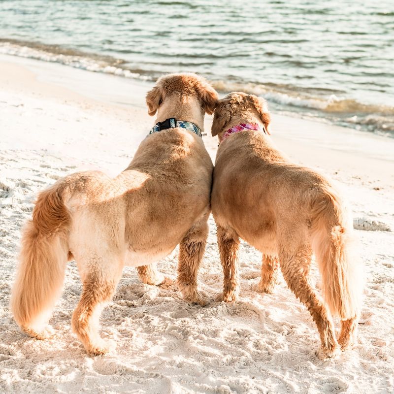 Cape San Blas (Florida)