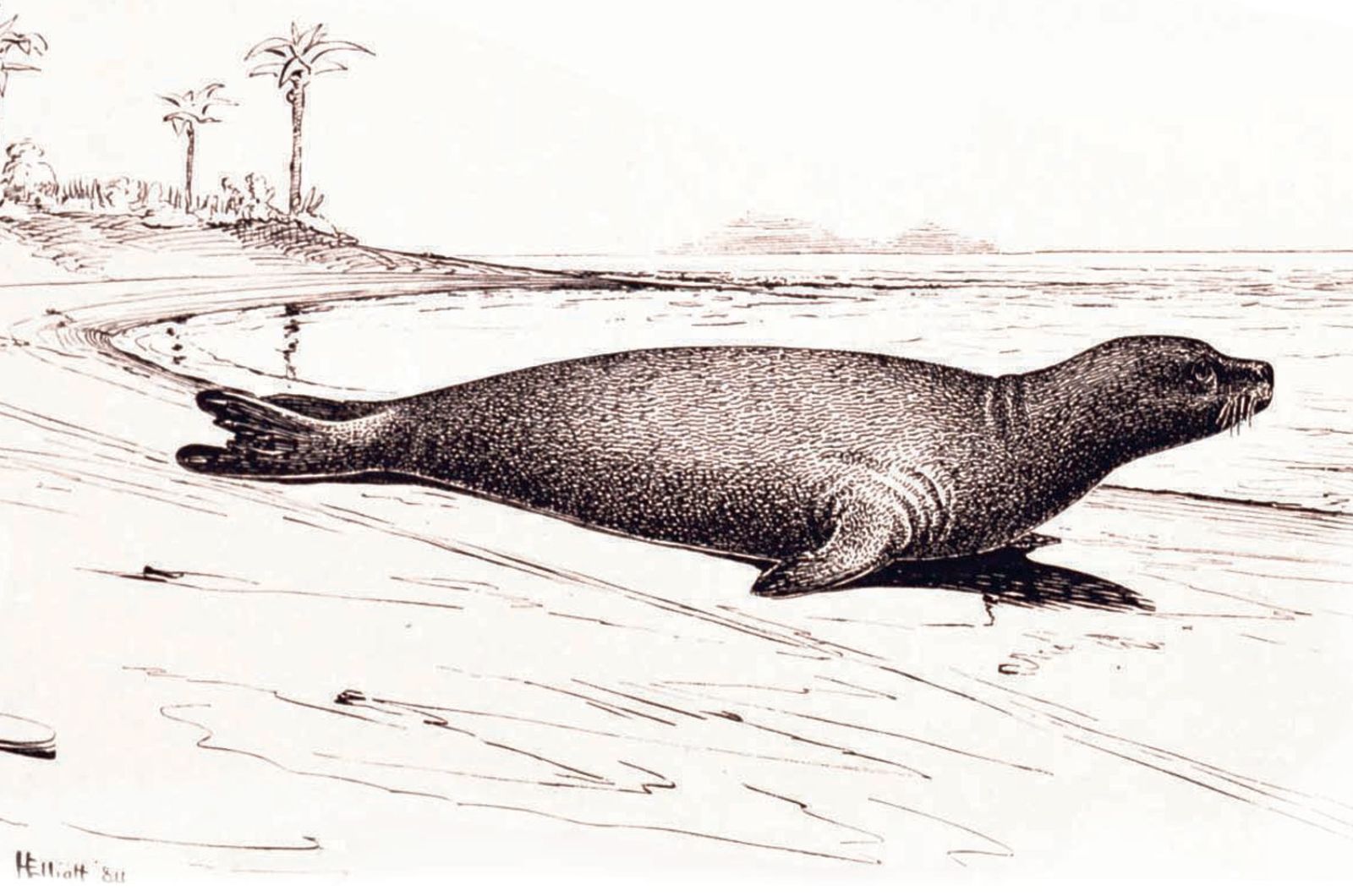15 Lost Species Scientists Hope To Bring Back To Life