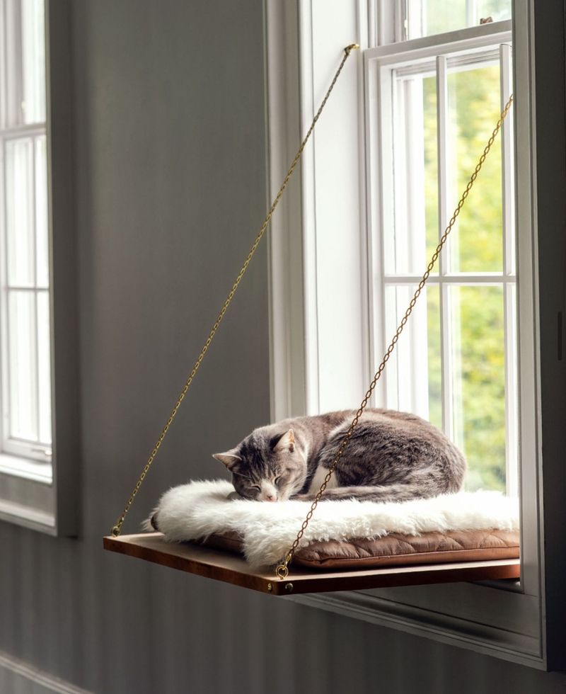 Cat Window Perch