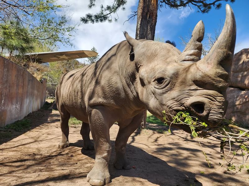 Cheyenne Mountain Zoo, Colorado