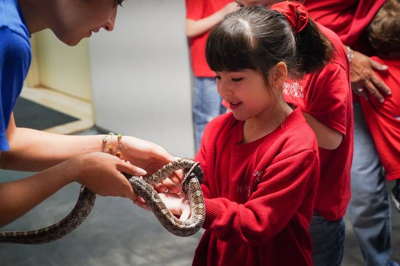 Children and Snake Safety