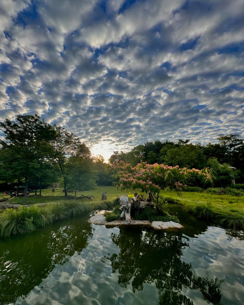 Cincinnati Zoo & Botanical Garden, Ohio