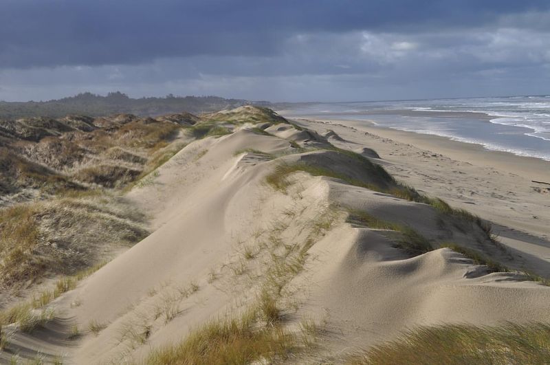 Coastal Dunes