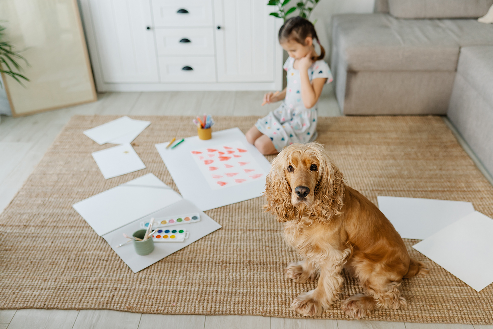 Cocker Spaniel