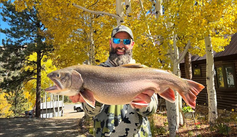 Colorado: Lake Trout