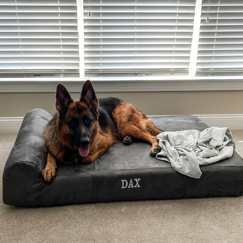 Comfortable Dog Bed