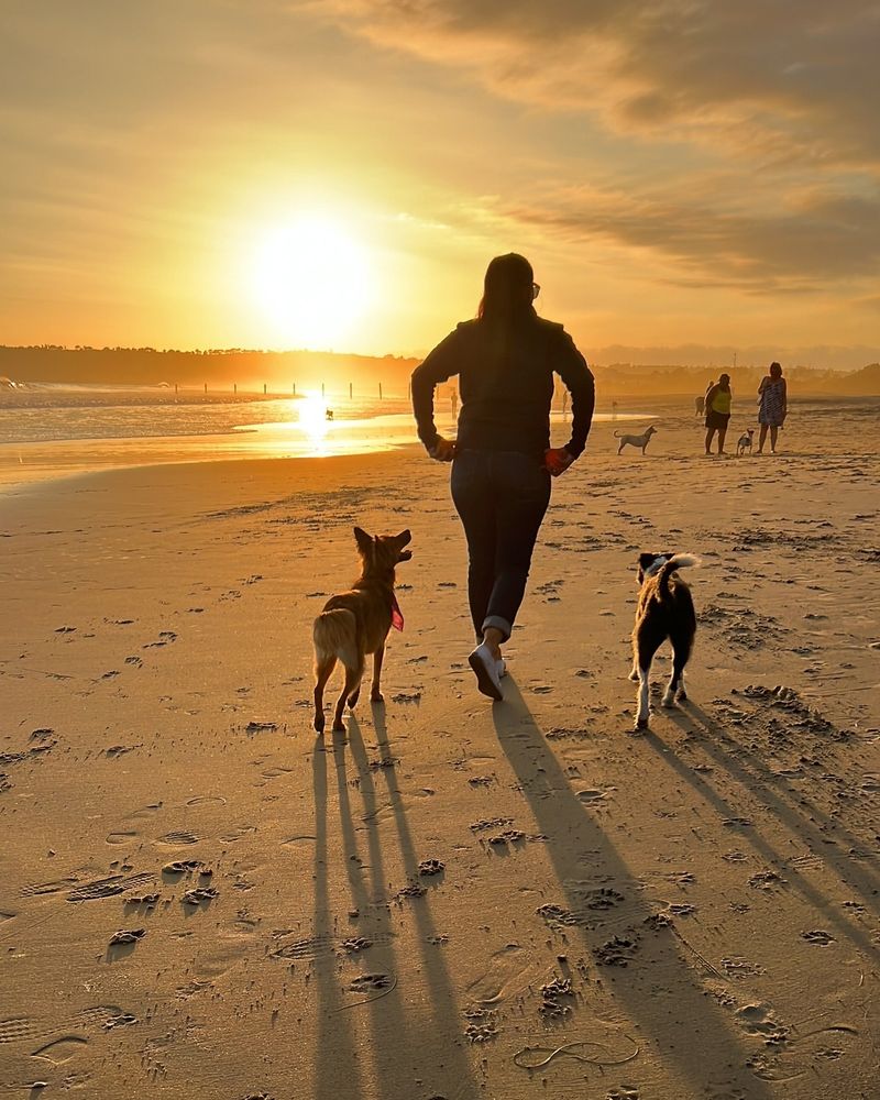 Coronado Dog Beach (California)