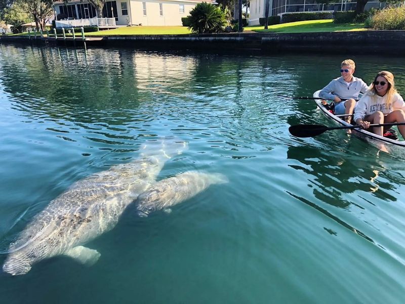 Crystal River, Florida