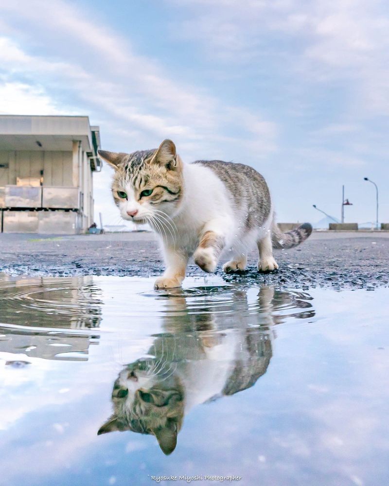 Curious About Water