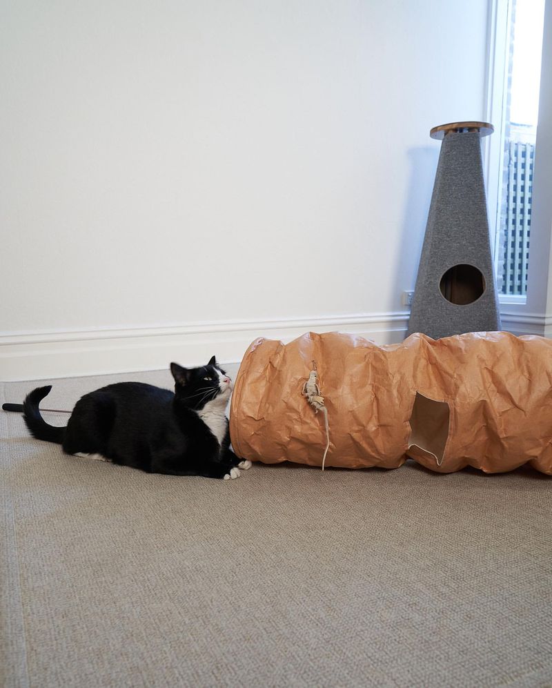 DIY Cat Tunnels