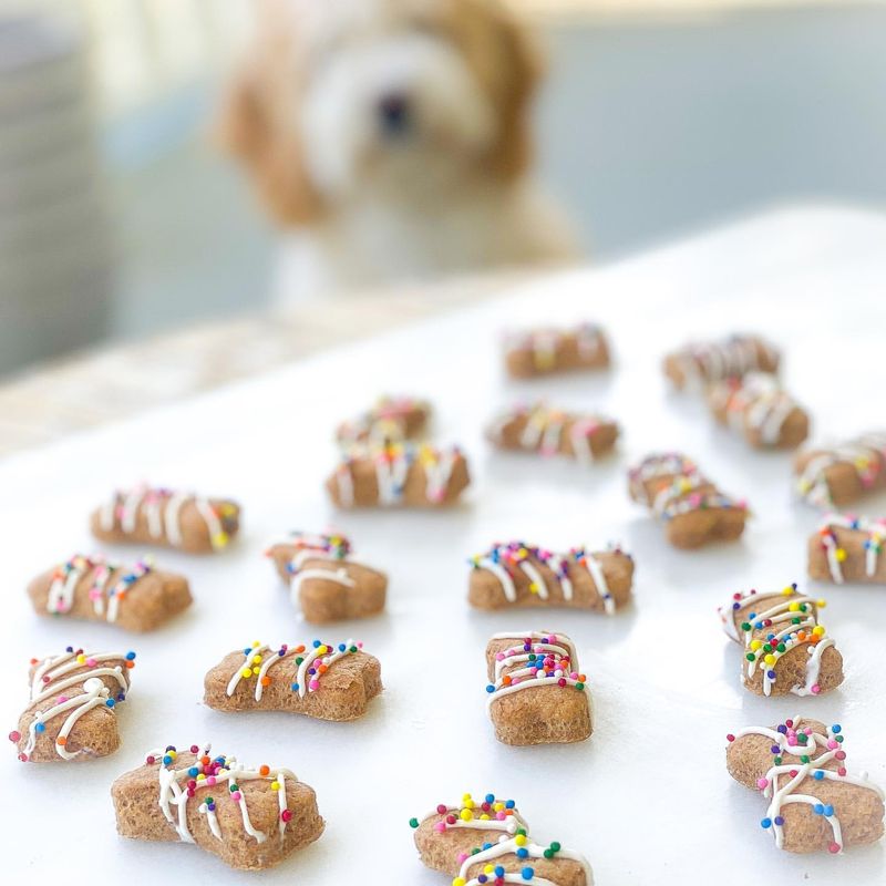 DIY Dog Treat Baking