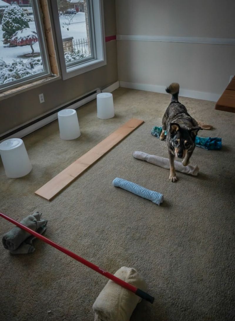 DIY Obstacle Courses