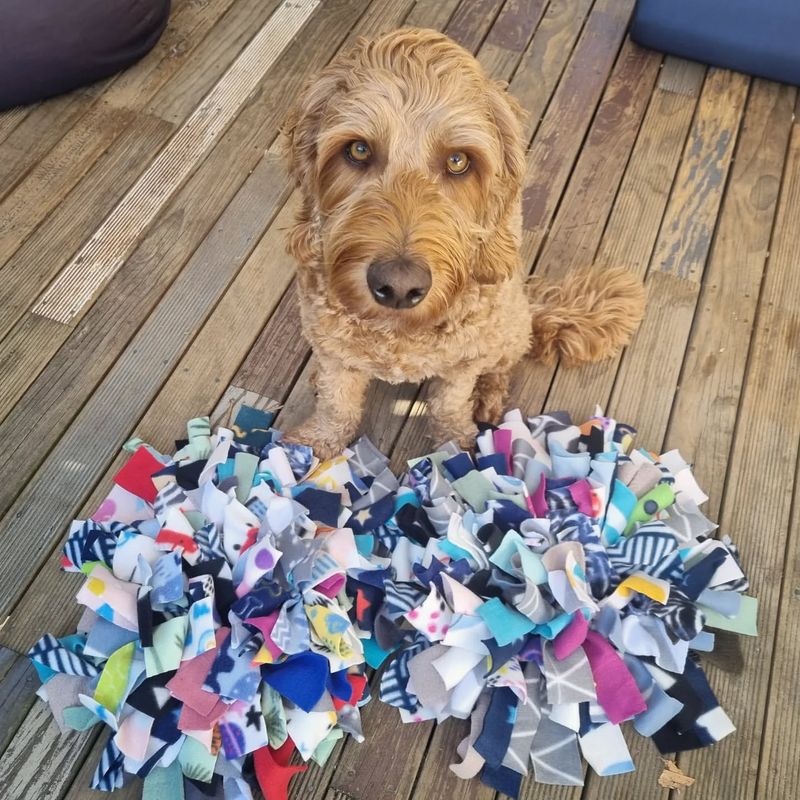 DIY Snuffle Mat