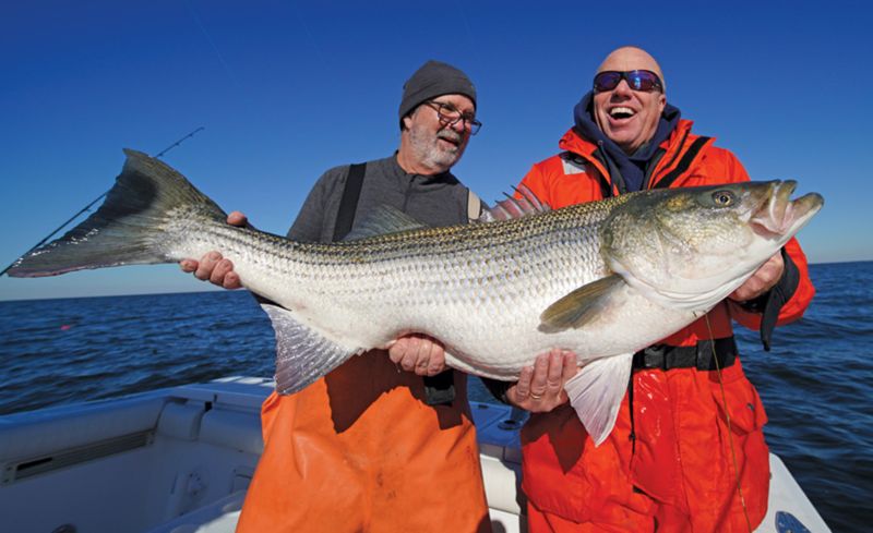 Delaware: Striped Bass