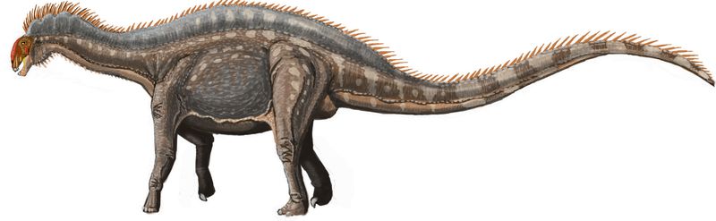 Dicraeosaurus