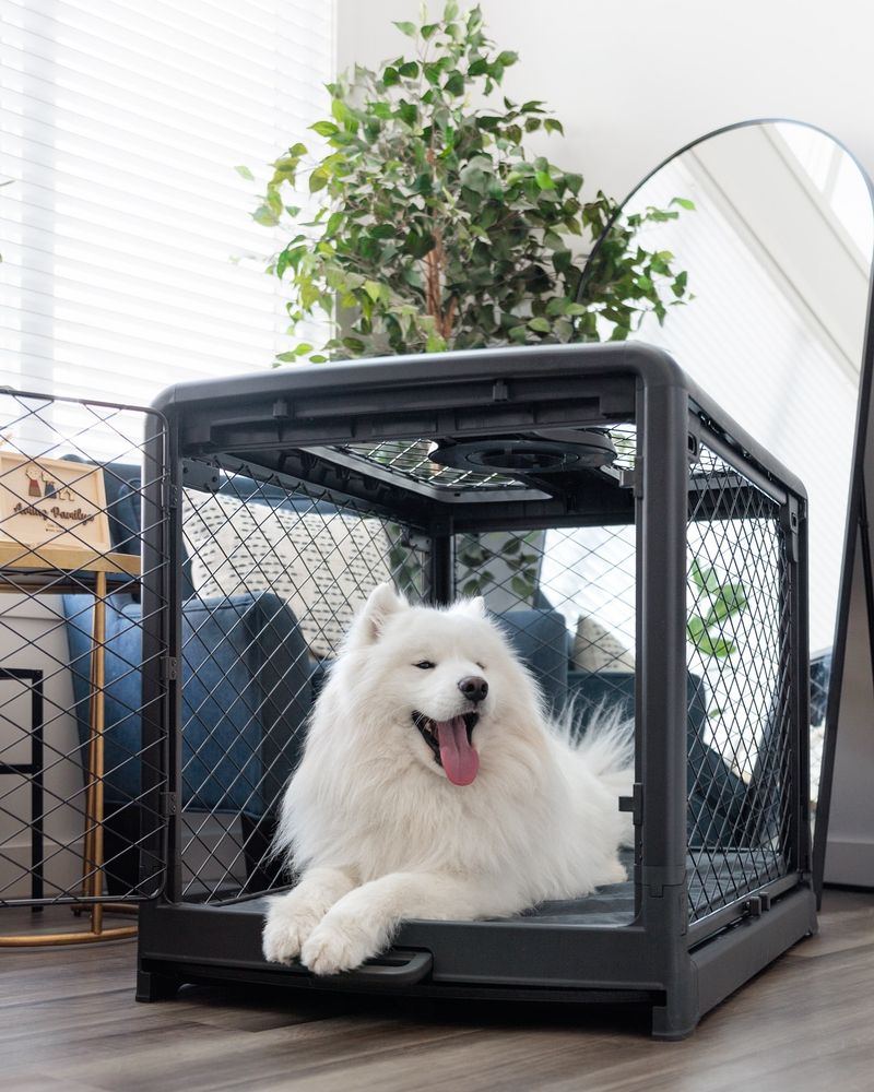 Dog Crate