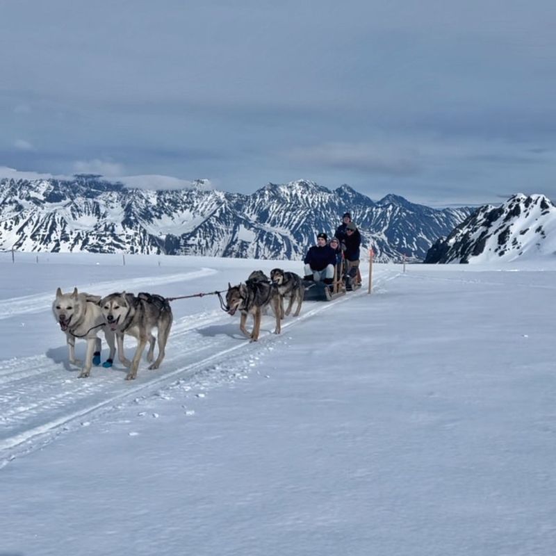 Dog Sledding in Alaska