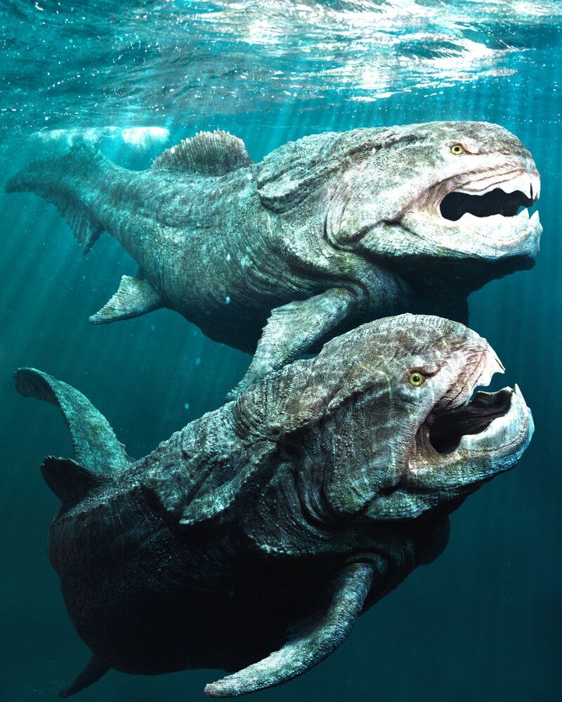 Dunkleosteus