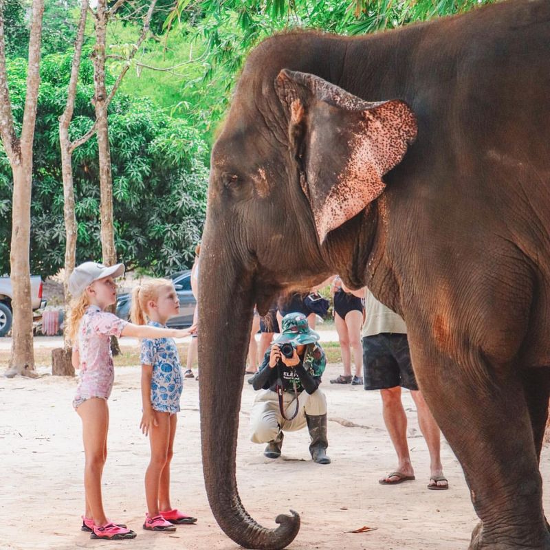 Elephant Sanctuary Experience in Thailand