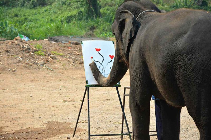 Elephants Painting