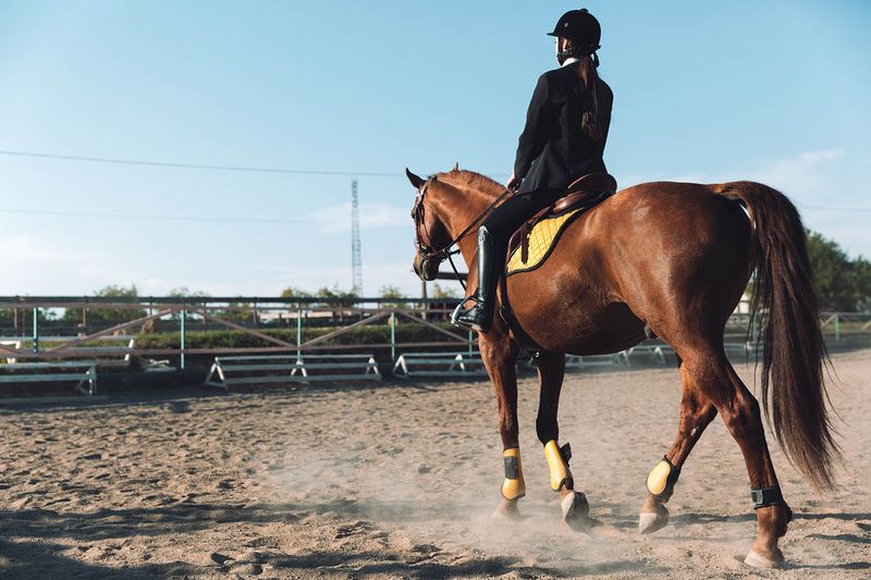 Equestrian Sports