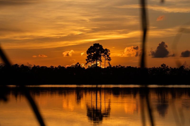 Everglades National Park