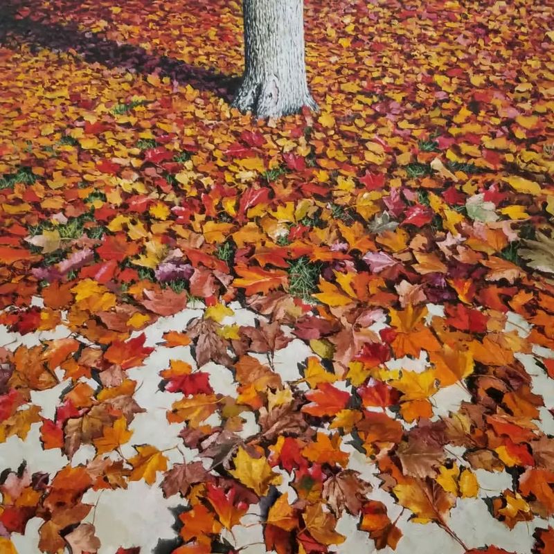 Fallen Leaves