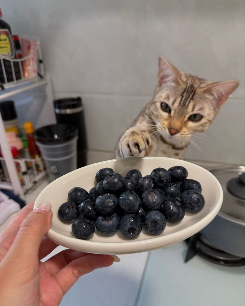 Grapes and Raisins