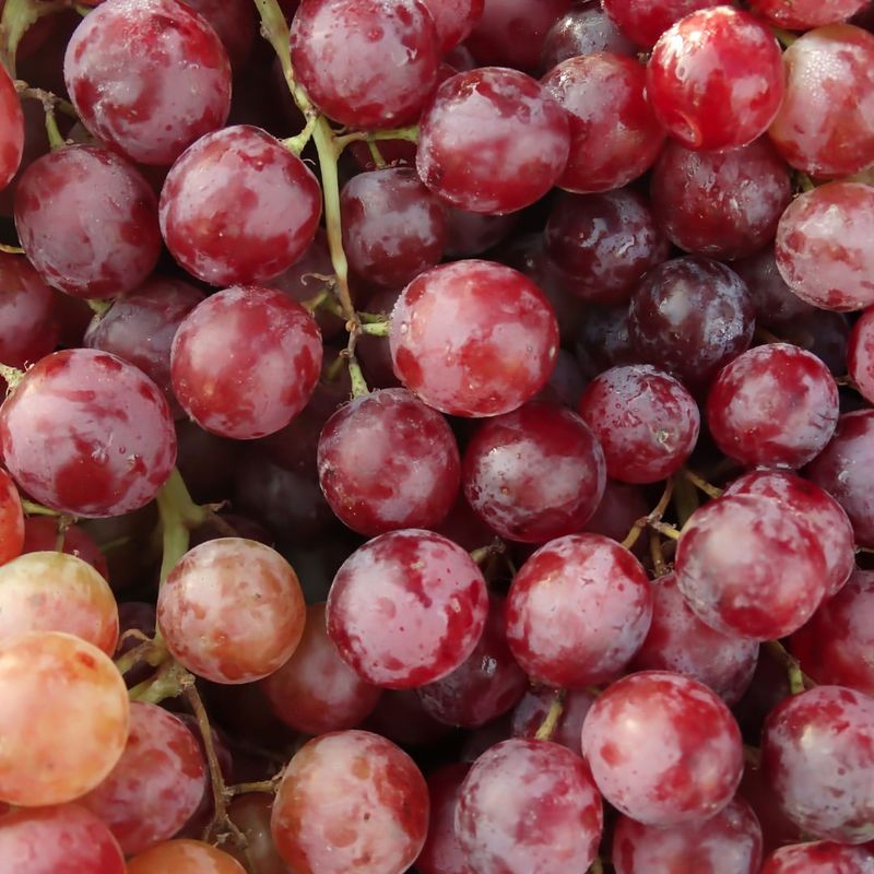 Grapes