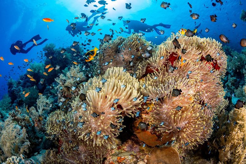 Great Barrier Reef