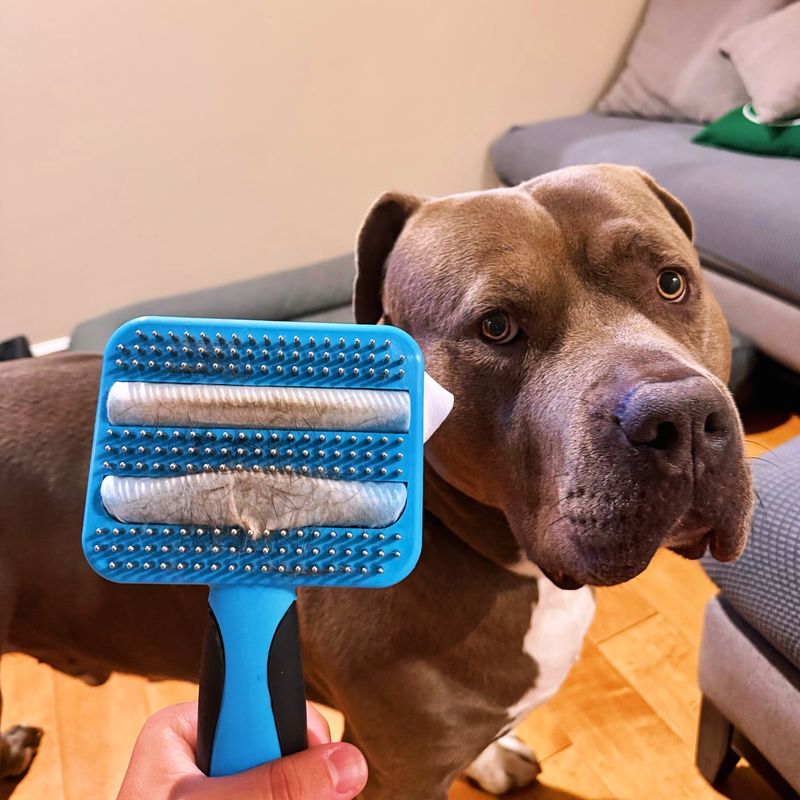 Grooming Brush