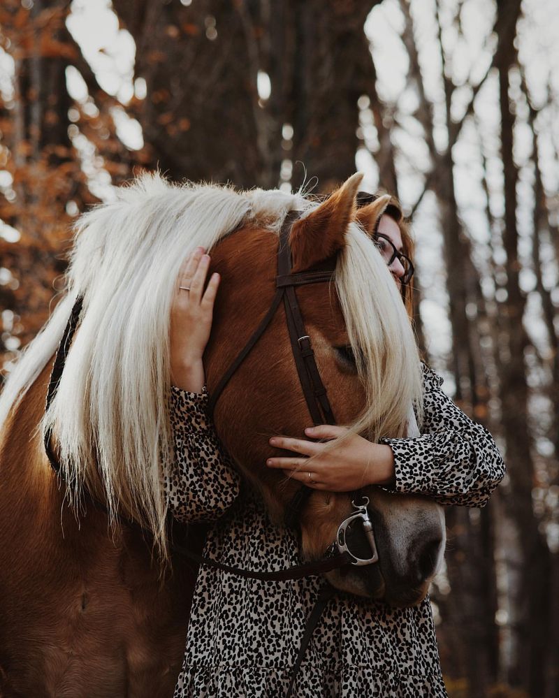 Haflinger