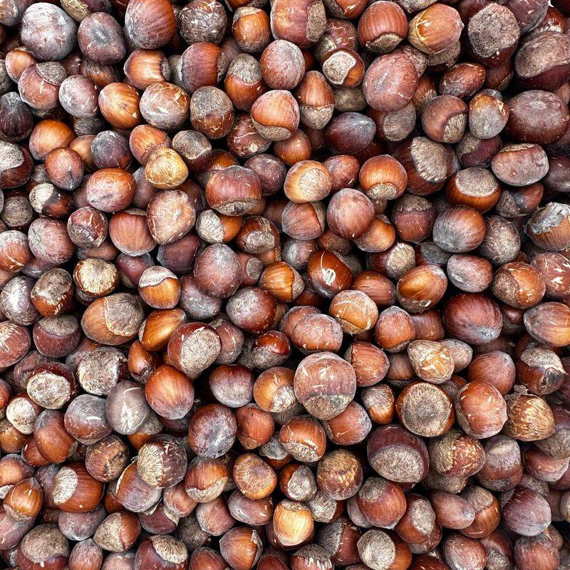 Hazelnuts