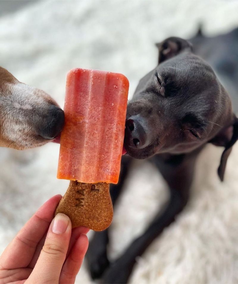 Homemade Pet Popsicles