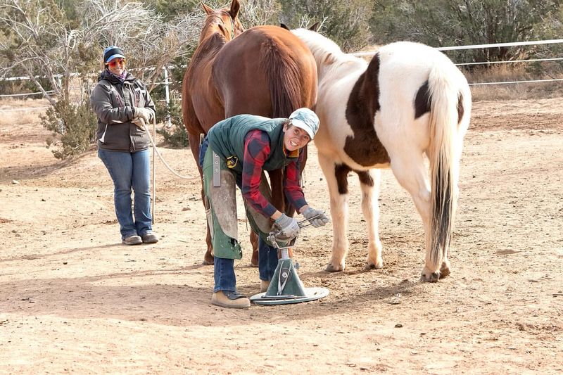 Horses Are Low Maintenance