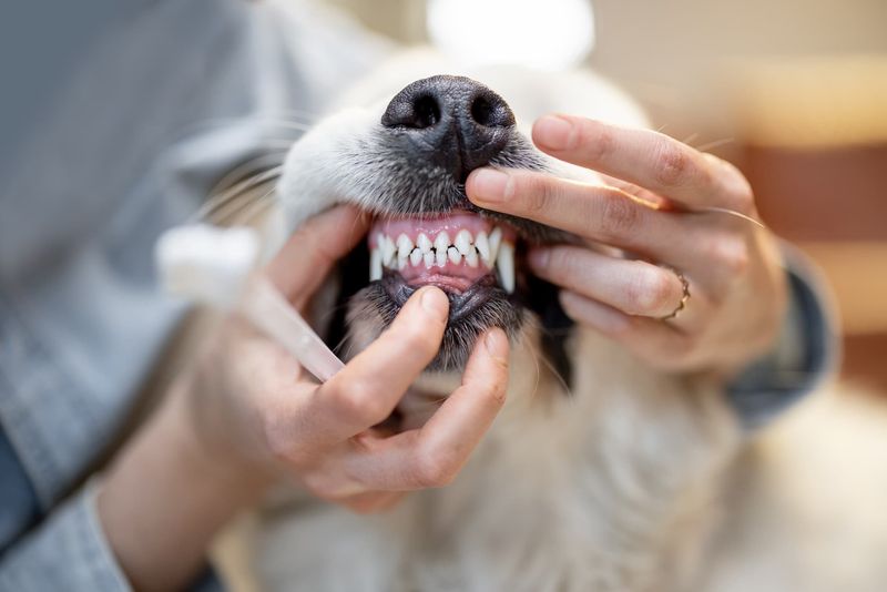 Ignoring Dental Health