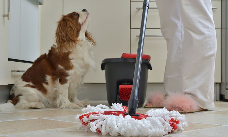 Implement a Strict Cleaning Schedule