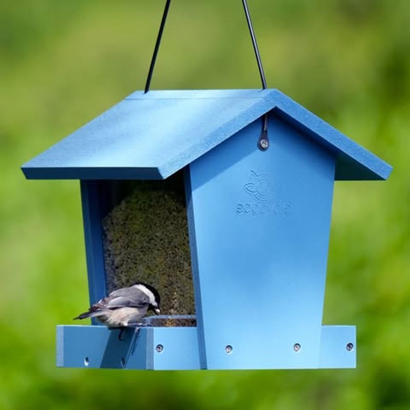 Install Bird Feeders