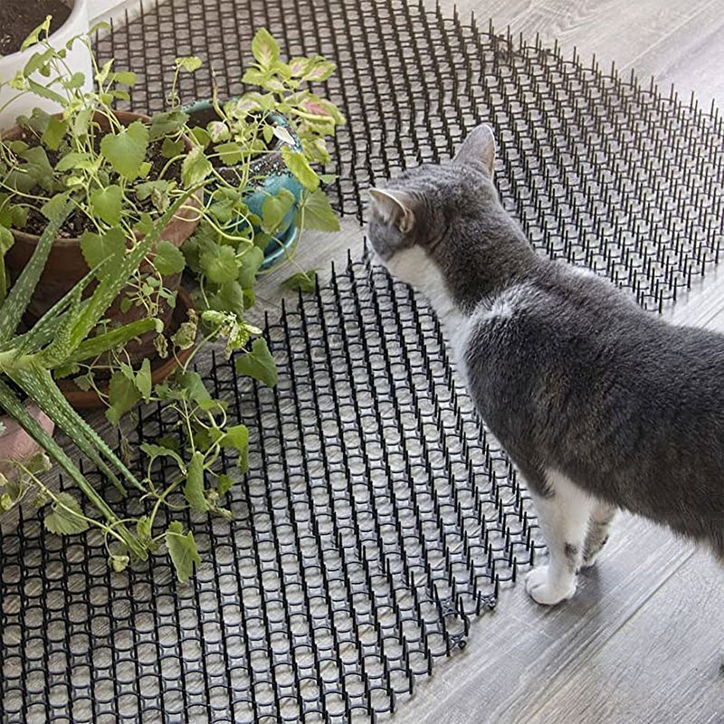 Install a Cat Repellent Mat