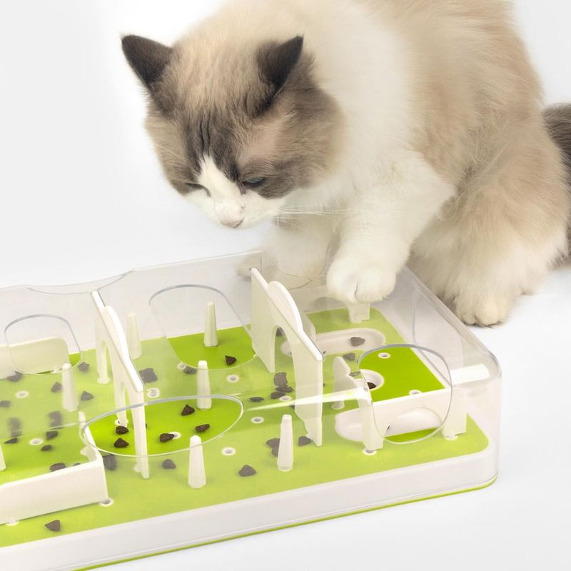 Interactive Cat Feeder