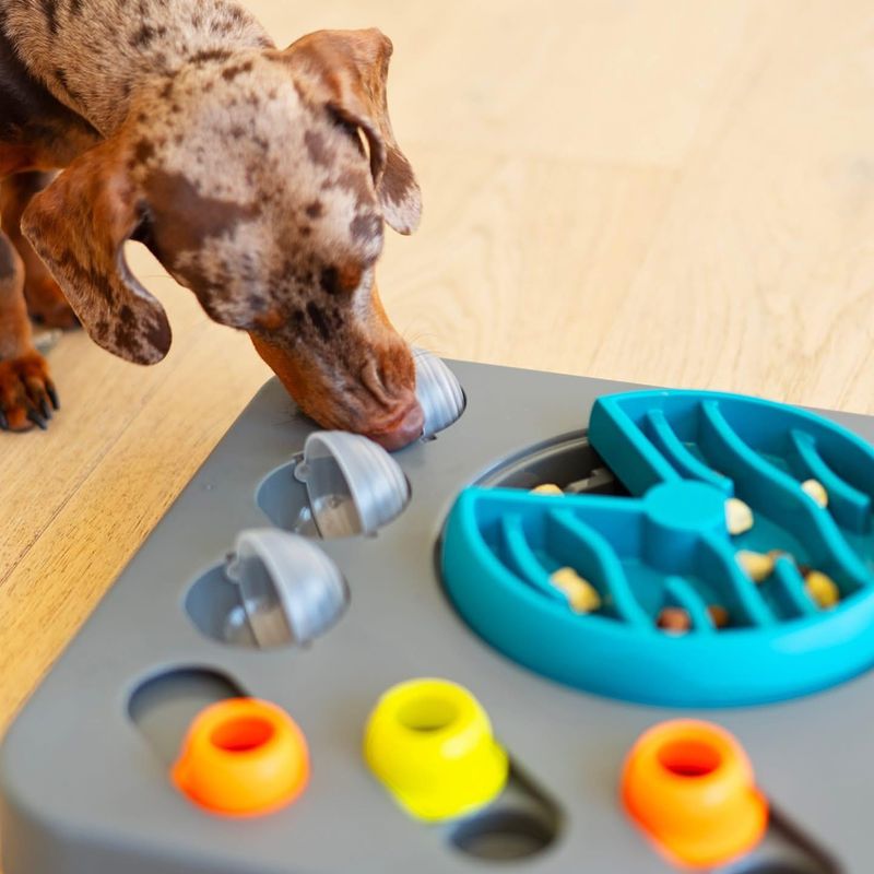 Interactive Puzzle Toys