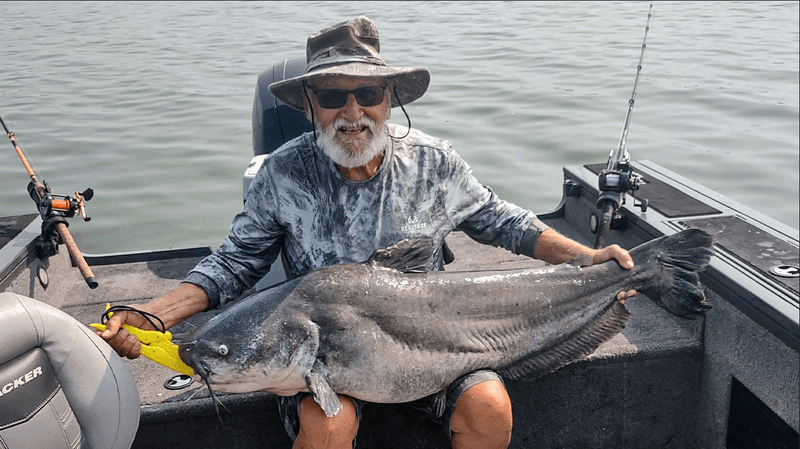 Kansas: Flathead Catfish