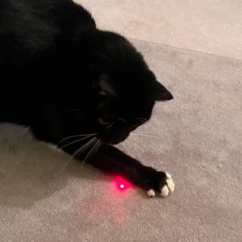 Laser Pointers