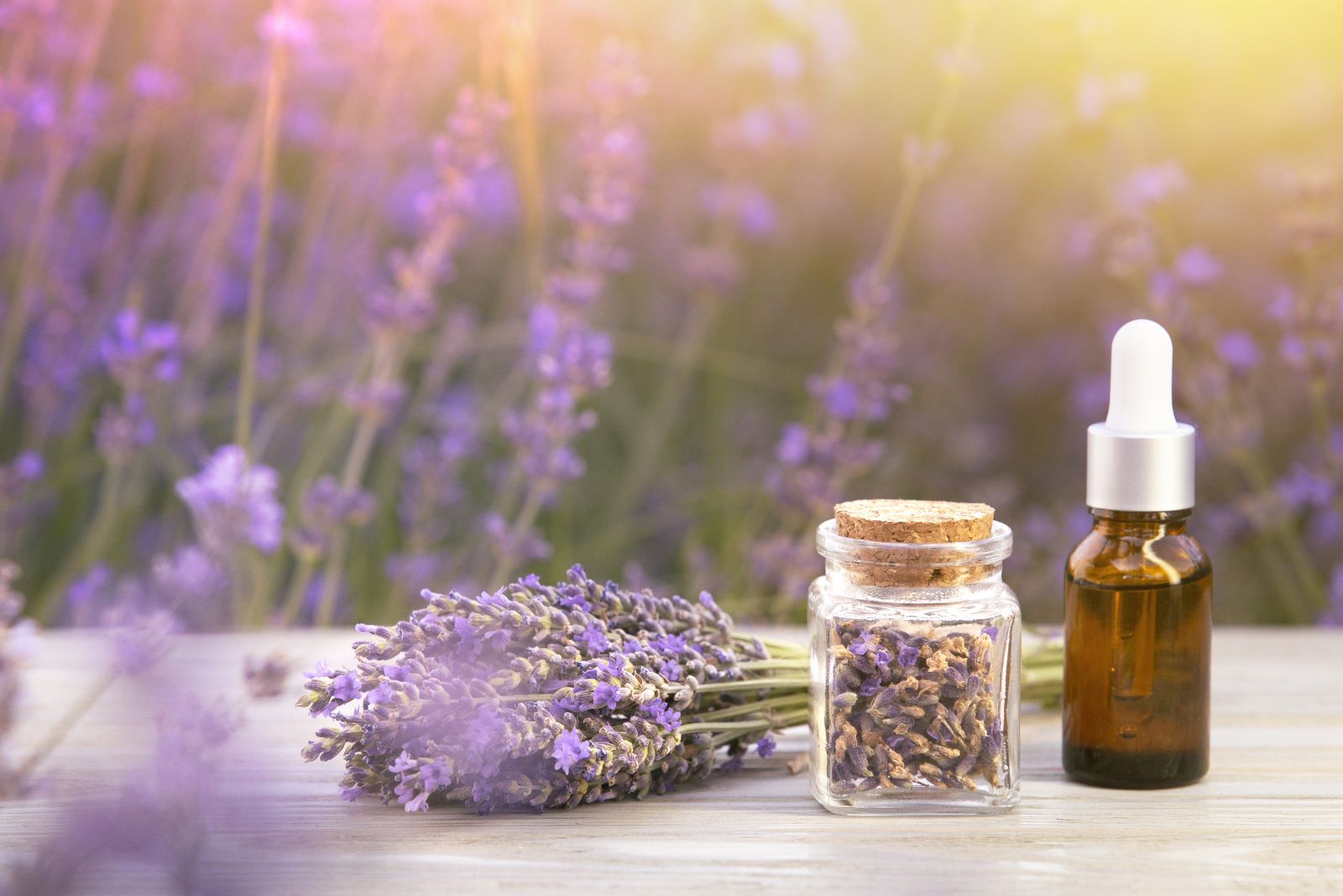 Lavender Oil