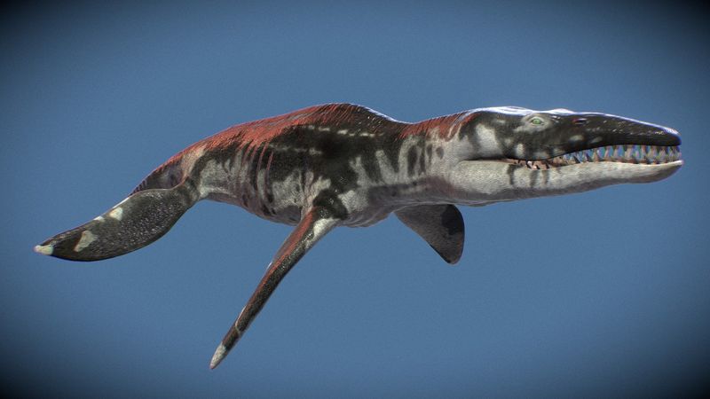 Liopleurodon