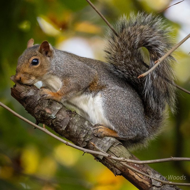 Low Maintenance Grooming